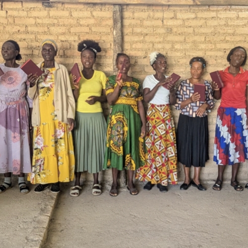 Zimbabwe & Mozambique Update